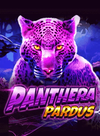 bajil